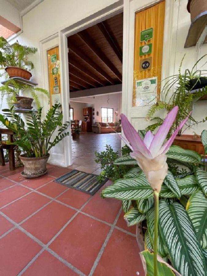 Villa Caribbean Dream Вью-Фор Екстер'єр фото