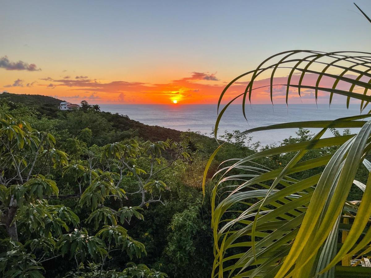 Villa Caribbean Dream Вью-Фор Екстер'єр фото