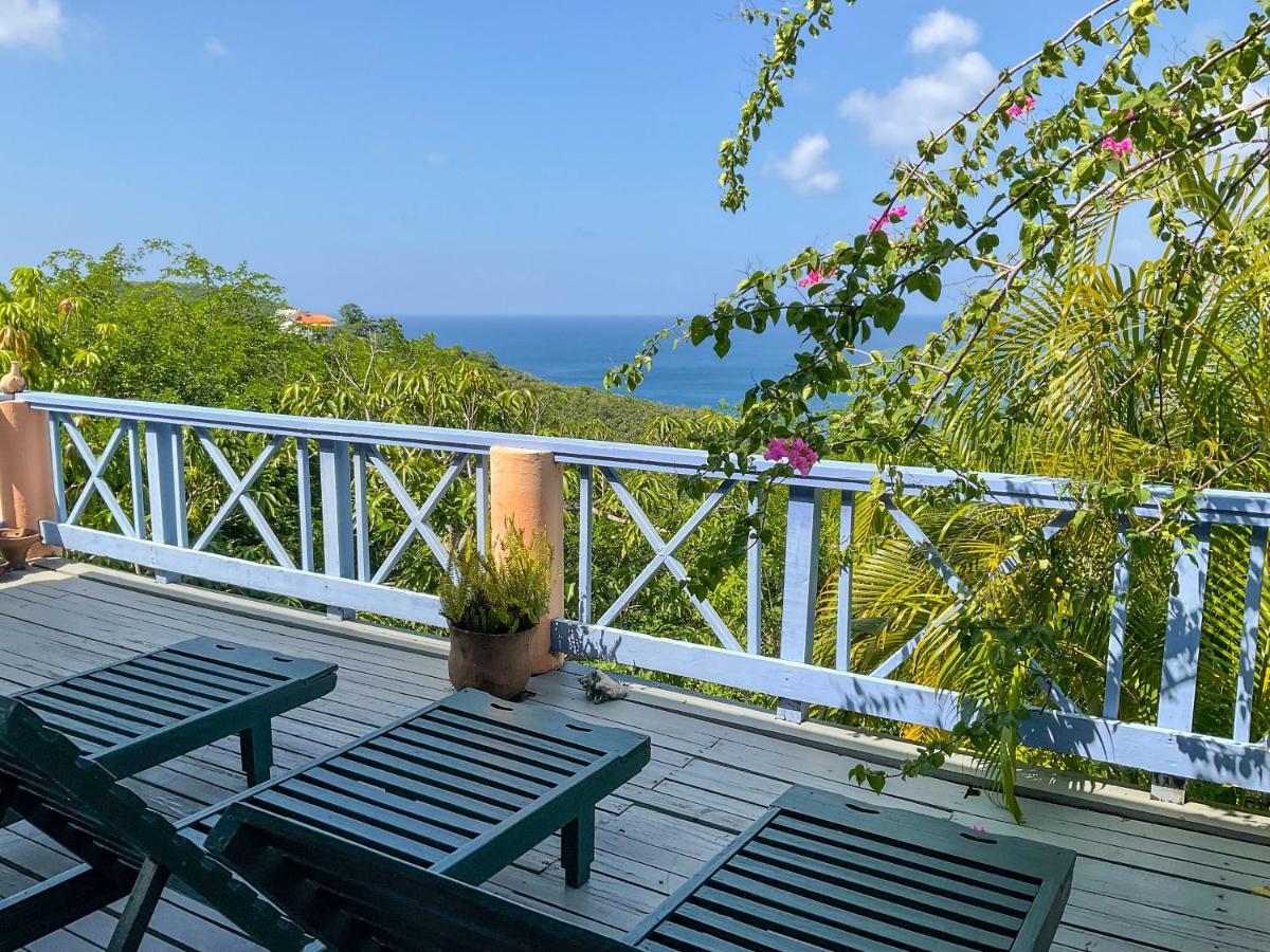 Villa Caribbean Dream Вью-Фор Екстер'єр фото