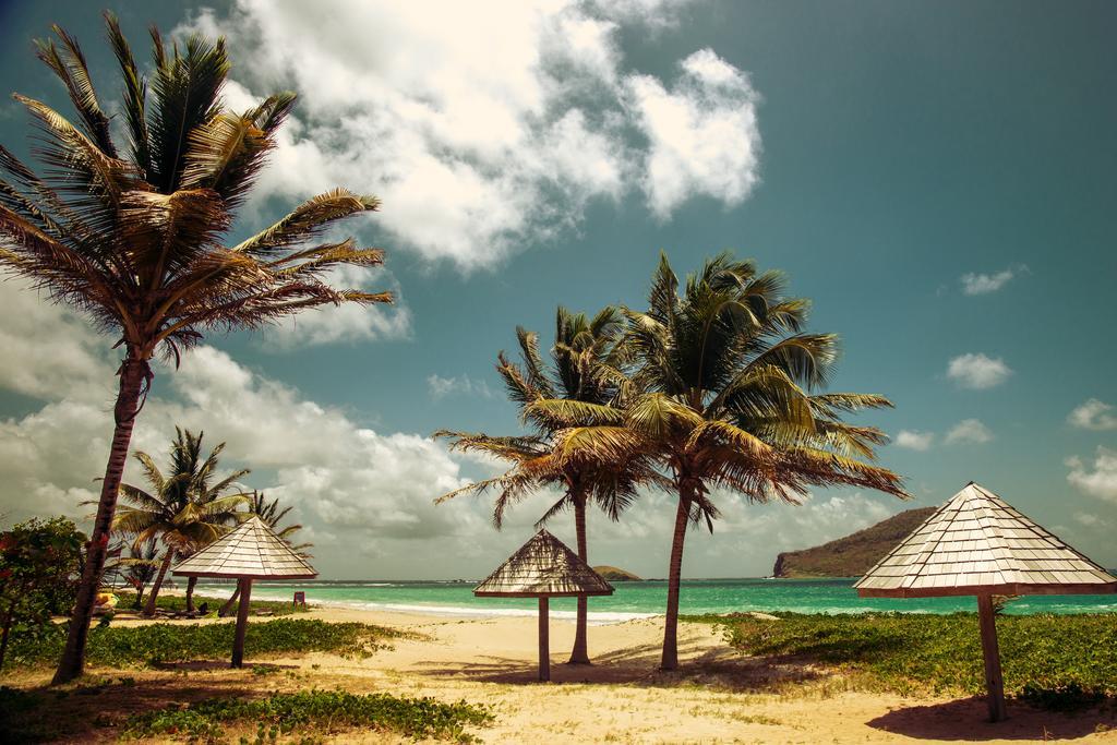 Villa Caribbean Dream Вью-Фор Екстер'єр фото
