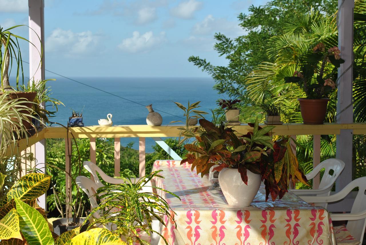 Villa Caribbean Dream Вью-Фор Екстер'єр фото