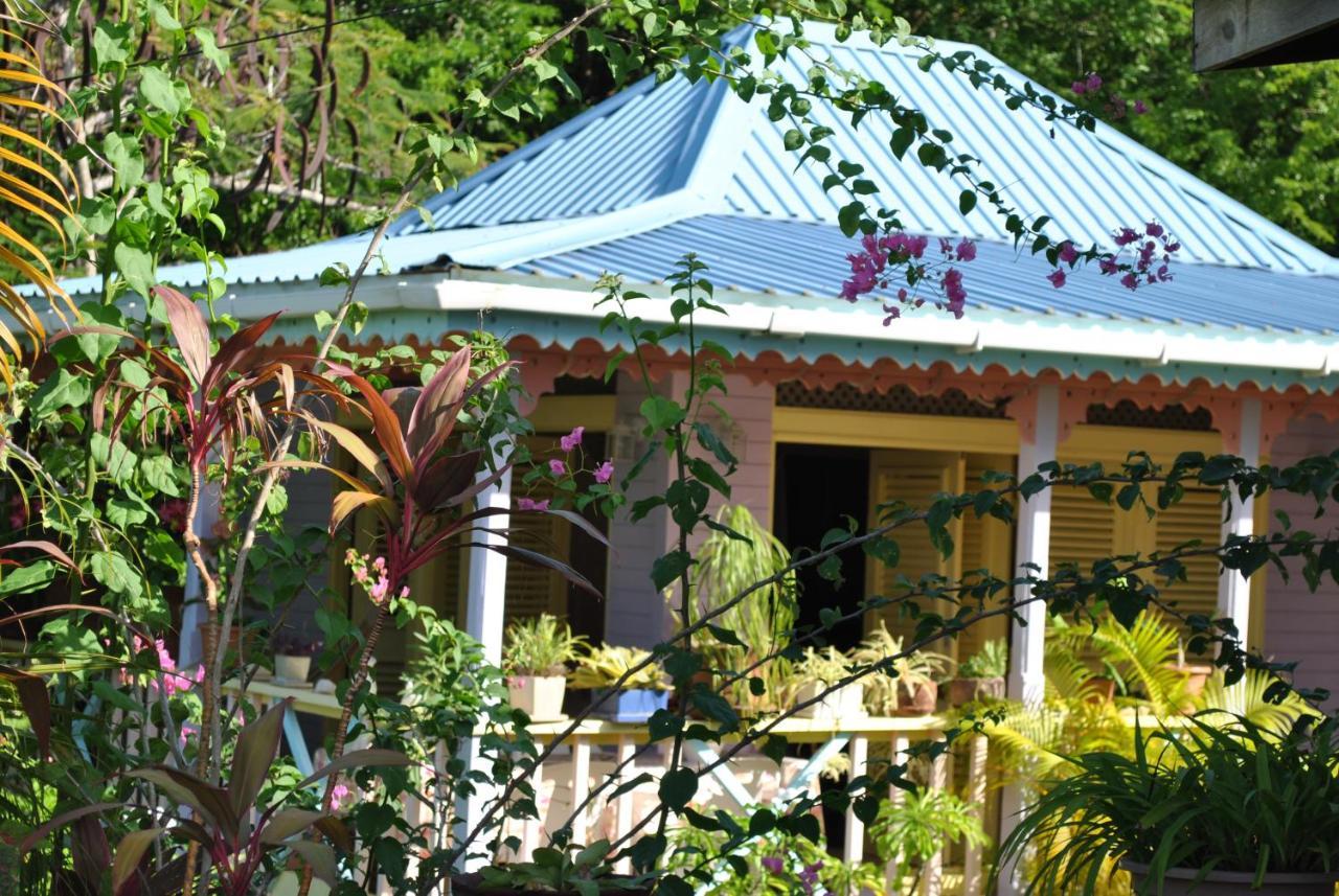 Villa Caribbean Dream Вью-Фор Екстер'єр фото